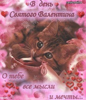 в день св.валентина