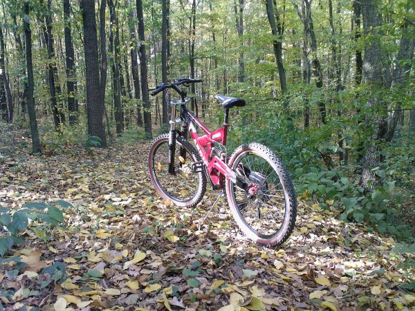 ARDIS РАНЬШЕ БИЛ МОИМ