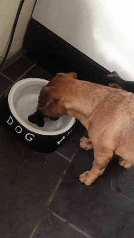 безвиз