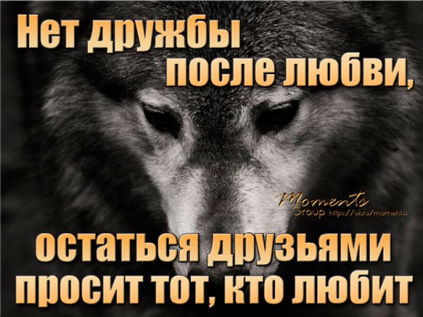 Дружба