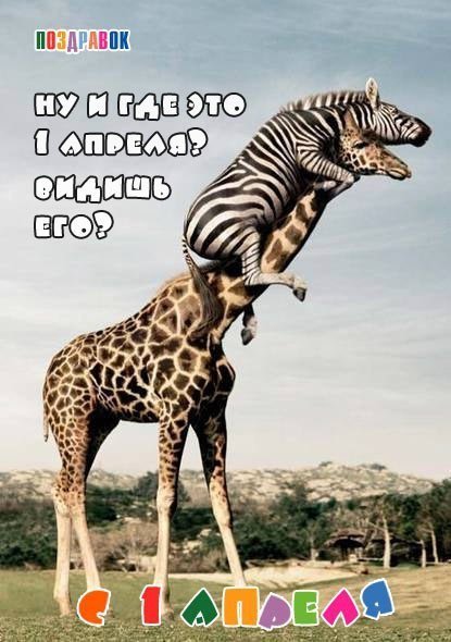 С 1 Апреля (8)