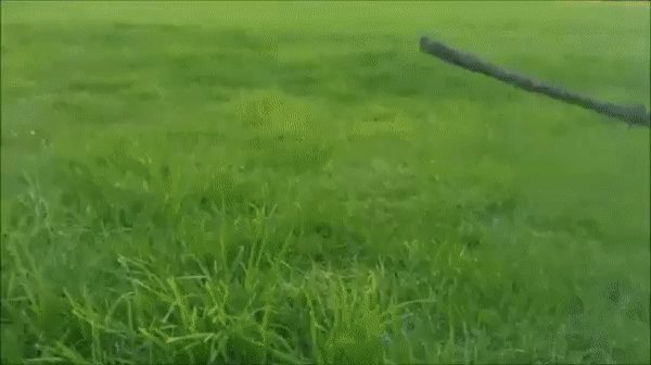 gif 1501922851