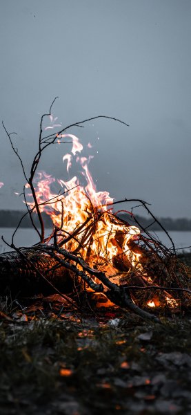 file_80494182