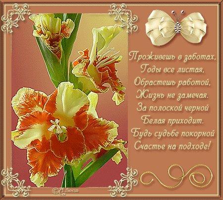 pogelaniya 18