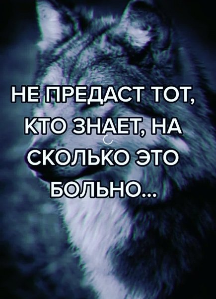 Однажды и предателя предадут!!!