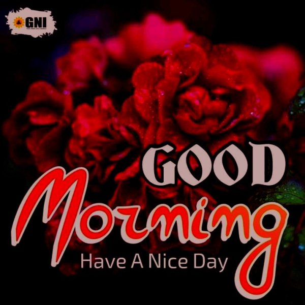 Good Morning 000411