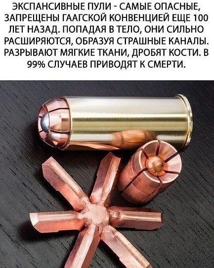 Ромашки