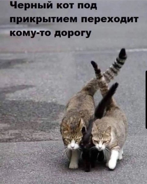 FB IMG 1773214837361