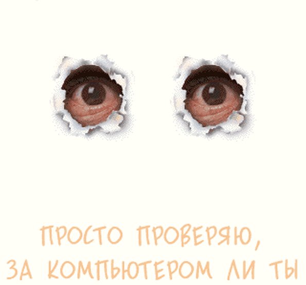 проверка