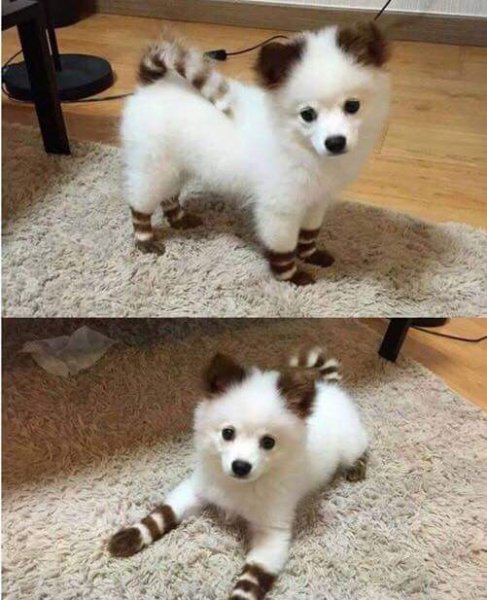 Чудо природы