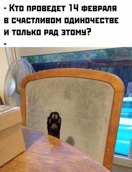 file_80533009
