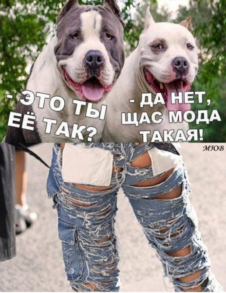 FB IMG 1778784230495