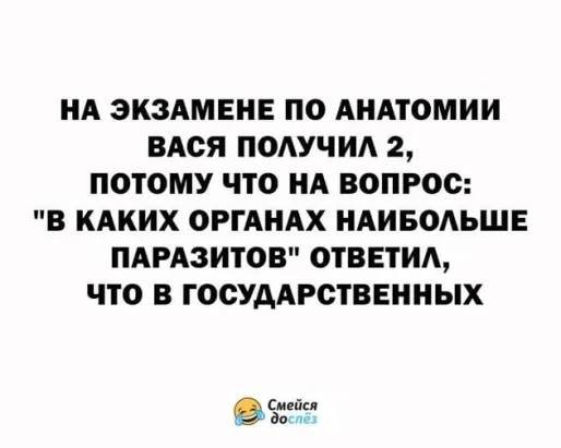 file_80501382