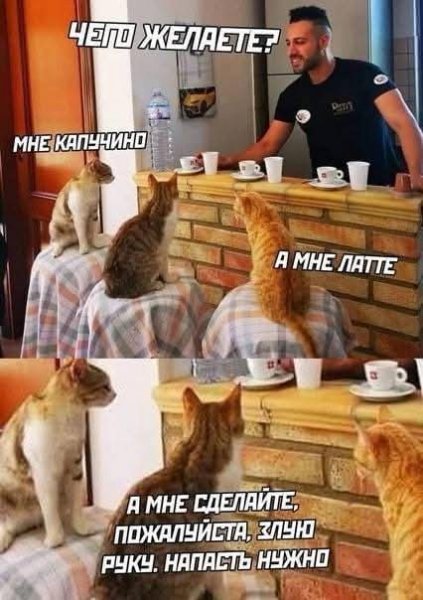 FB IMG 1742585488073