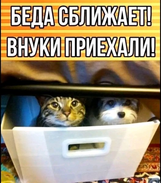 file_103195823