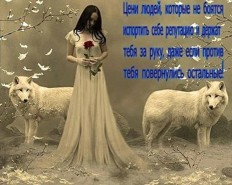 image (9)