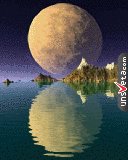 Night