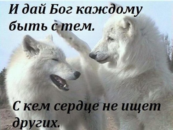 Дай Бог