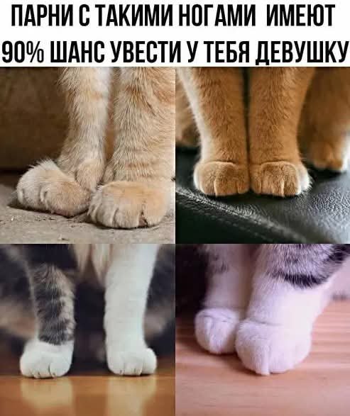 FB IMG 1776446865468