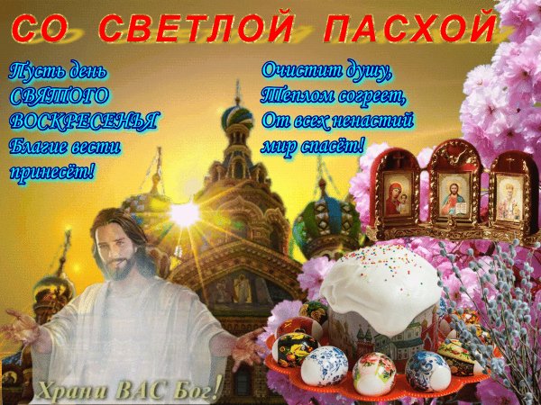 file_81317602