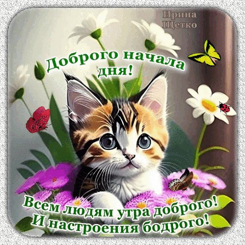 Анимированная открытка доброе утро