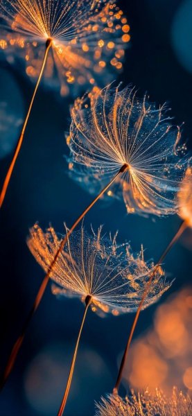 6cb01805334d792ec6f0f2add9c1abae