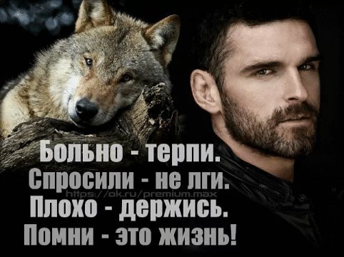 Это жизнь