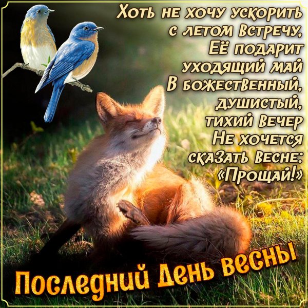 IMG 20190531 215140
