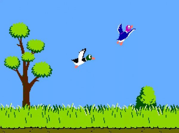 Duck Hunt