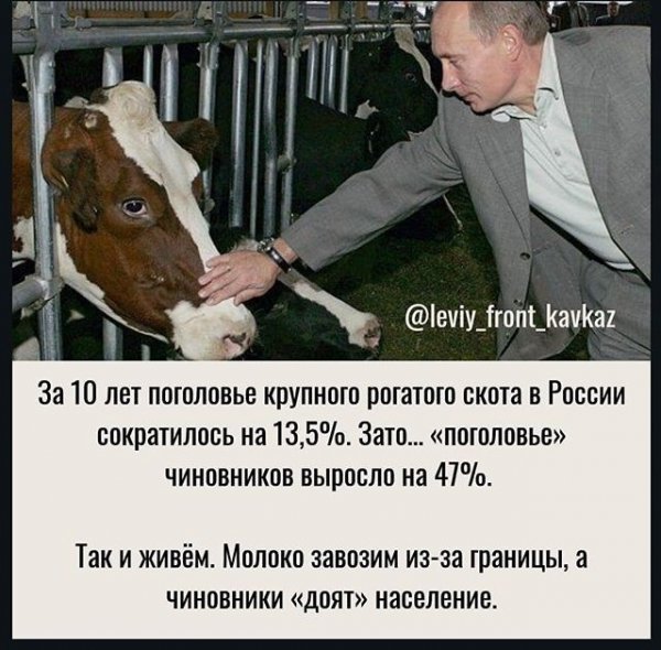 IMG-20190921-WA0063