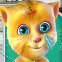 Тalking Ginger Ambulance