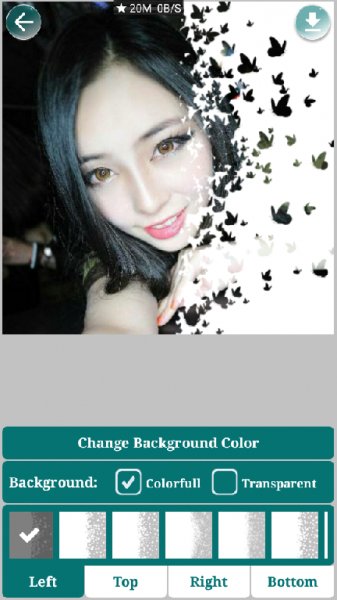 Photo Pixel 1.1