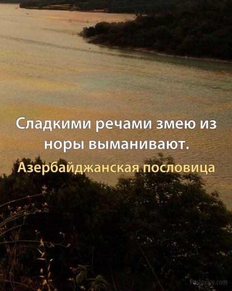 FB IMG 1760545212011