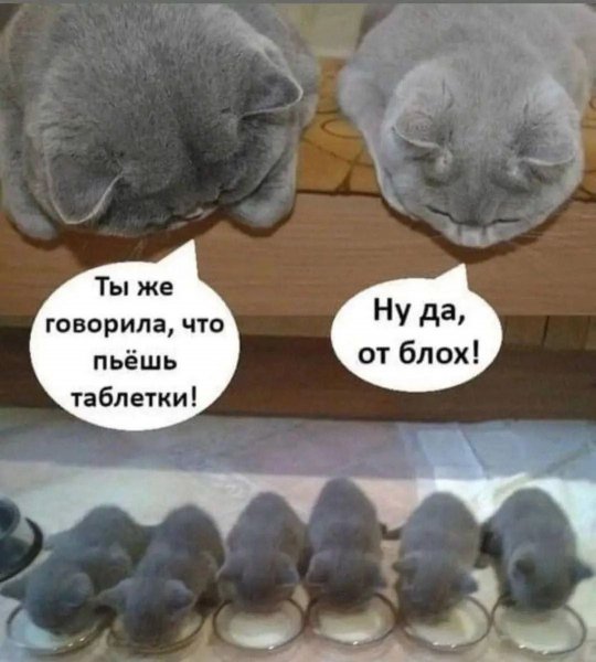 IMG 20260810 154607 461
