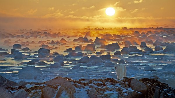 Seal River Река Сил UHD