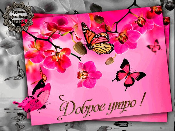 file_73385713