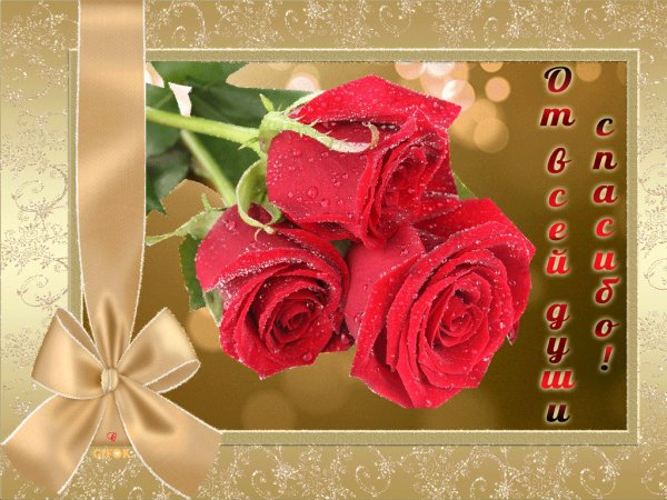 file_75181576
