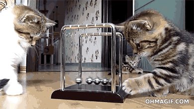 Залипательная котомеханика)