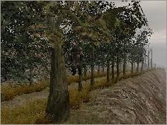 Реанские Низины (МОД)