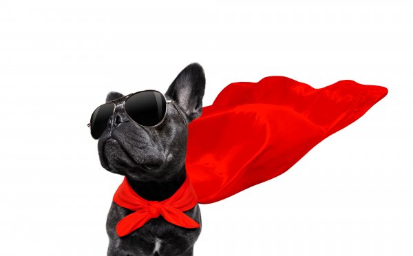 Shutterstock 1450321760