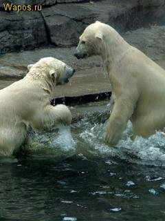 file_81053900
