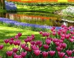 file_64679319