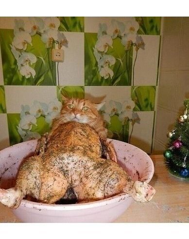 Опачки!..))