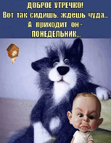 Открытка вот так сидишь ждёшь чуда а