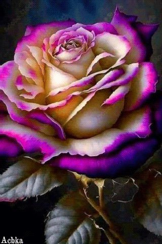 file_93138025