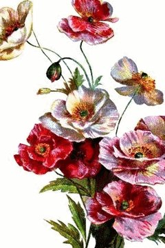 file_74859769