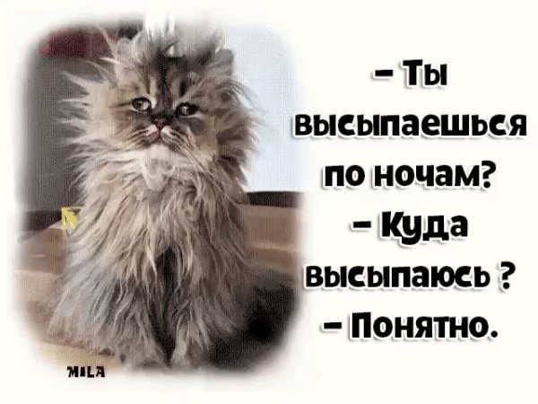file_79251028