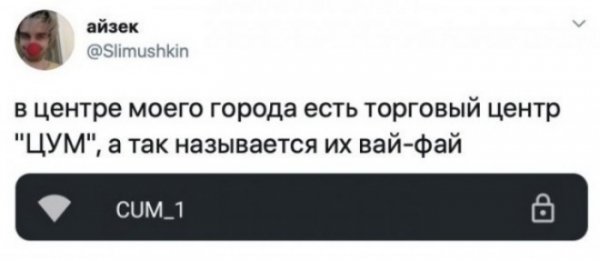 file_103229128