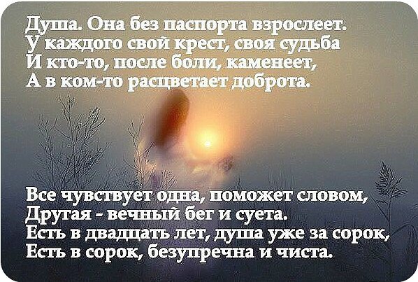 IMG 20151010 170853 0