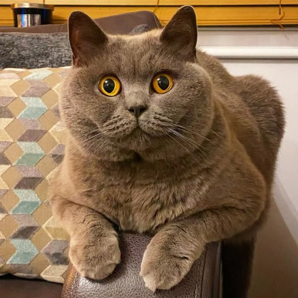 FB IMG 1772412919167